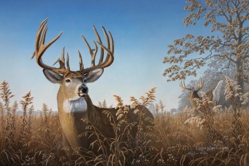  cerf Tableaux - whitetail 07
